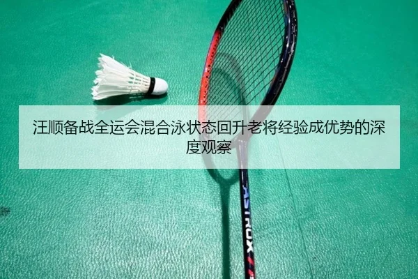 汪顺备战全运会混合泳状态回升老将经验成优势的深度观察
